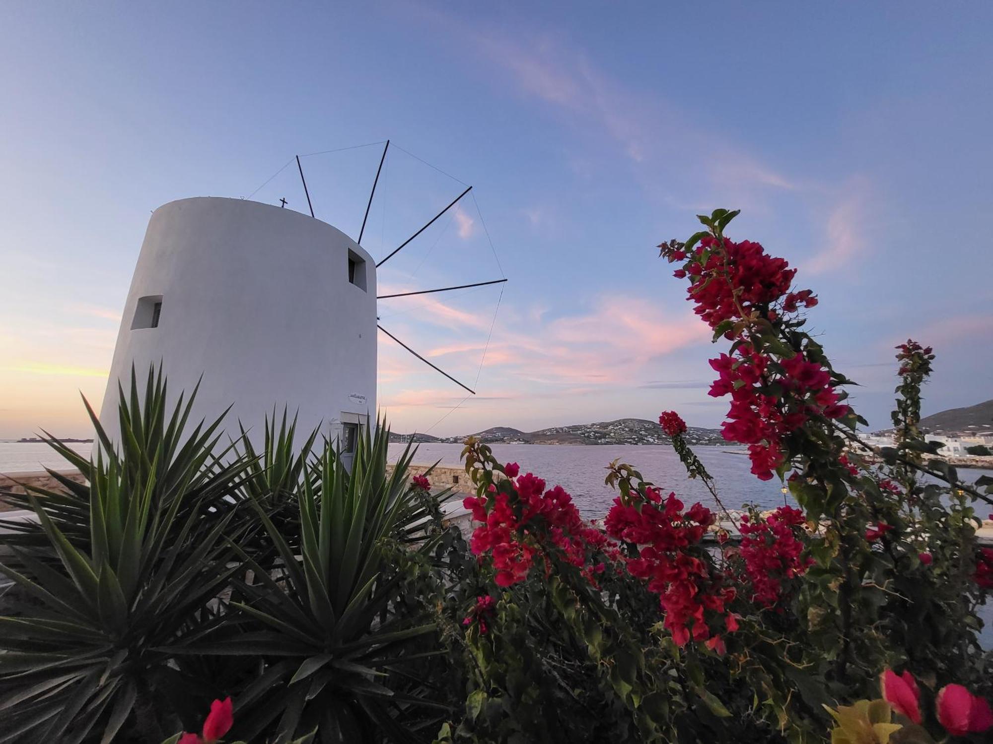Manolia House Apartment