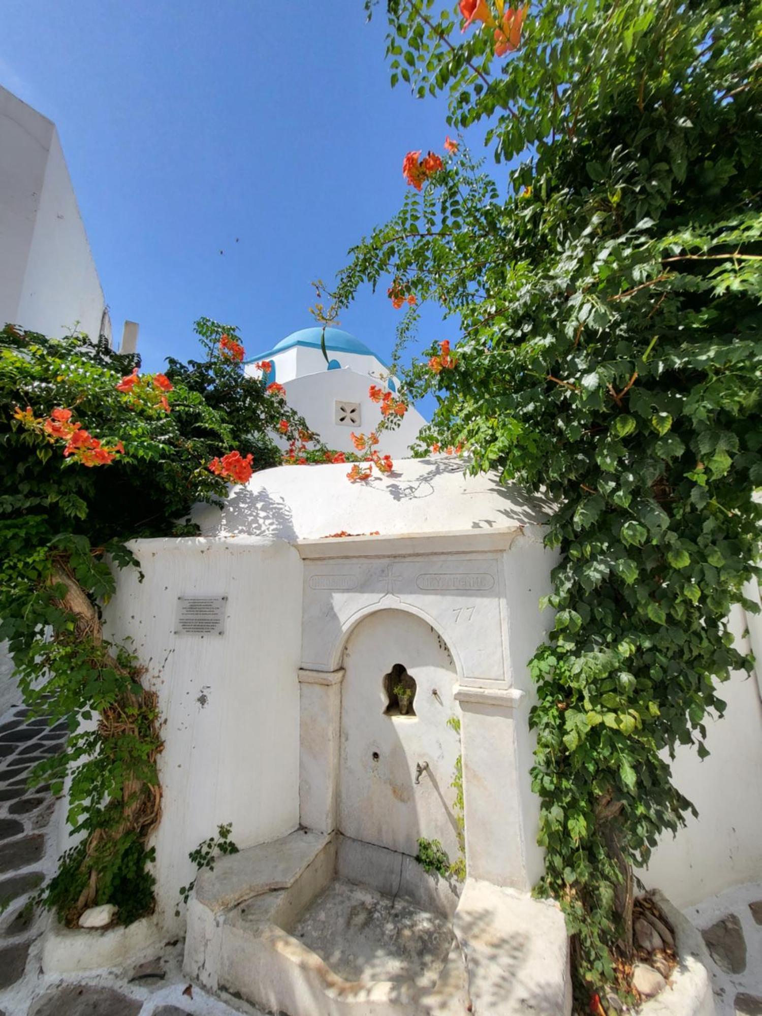 Manolia House Apartment *